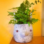 Urban Jungle Bloggers: Offer a plant to a friend